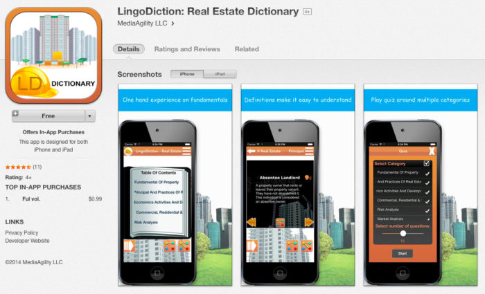 LingoDiction App